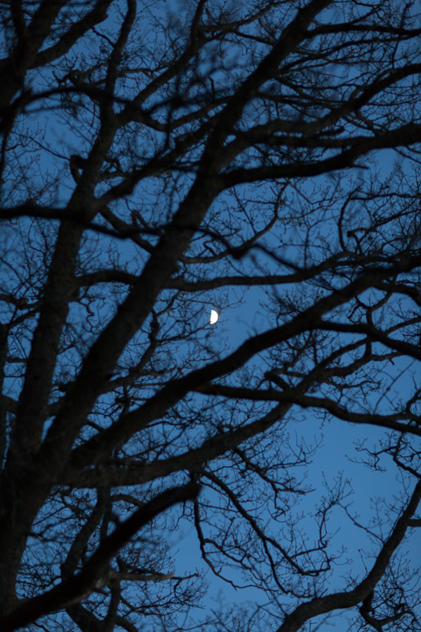 half moon evening at loch lomond 